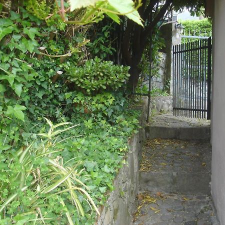 Sunflower Cosy Cottage - Il Girasole モンテロッソ・アル・マーレ エクステリア 写真